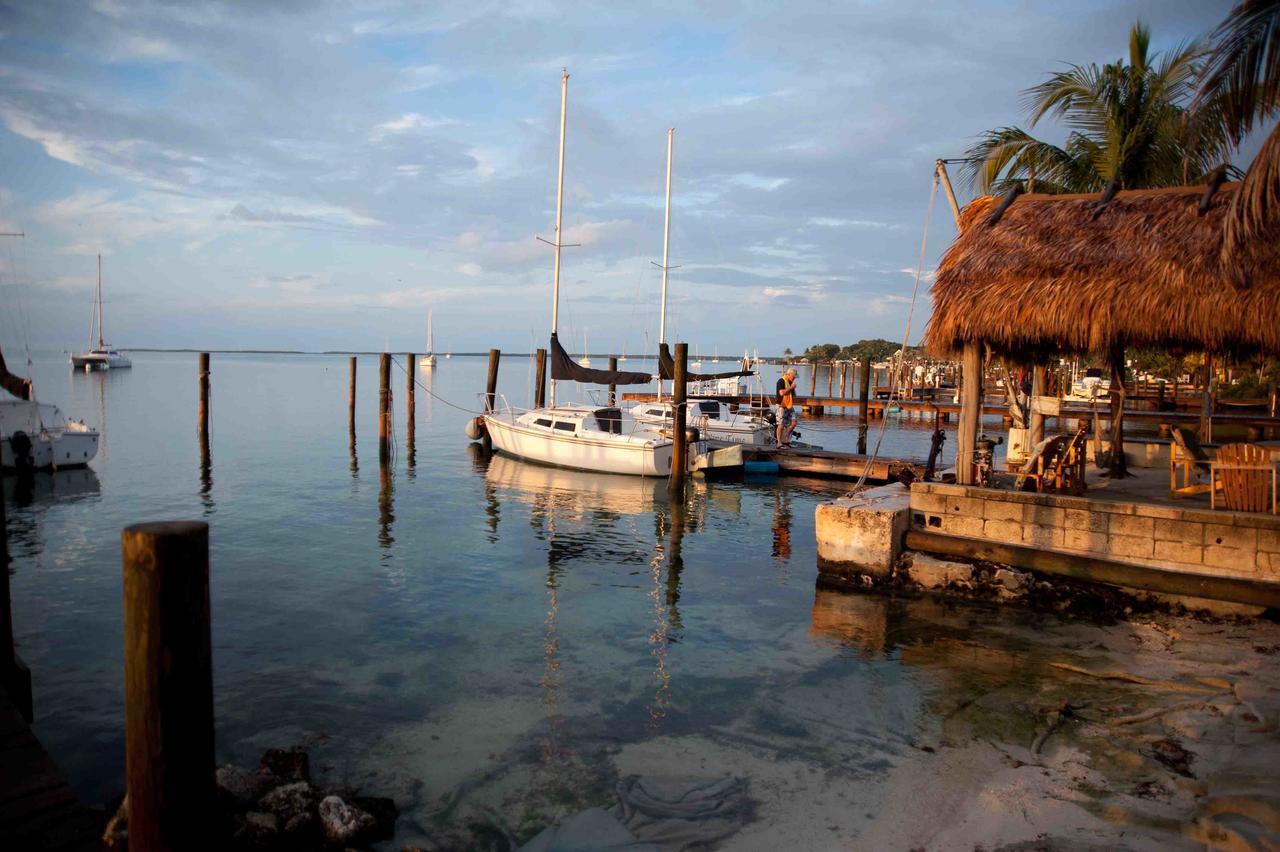Key Largo Cottages 케이 라르고 외부 사진