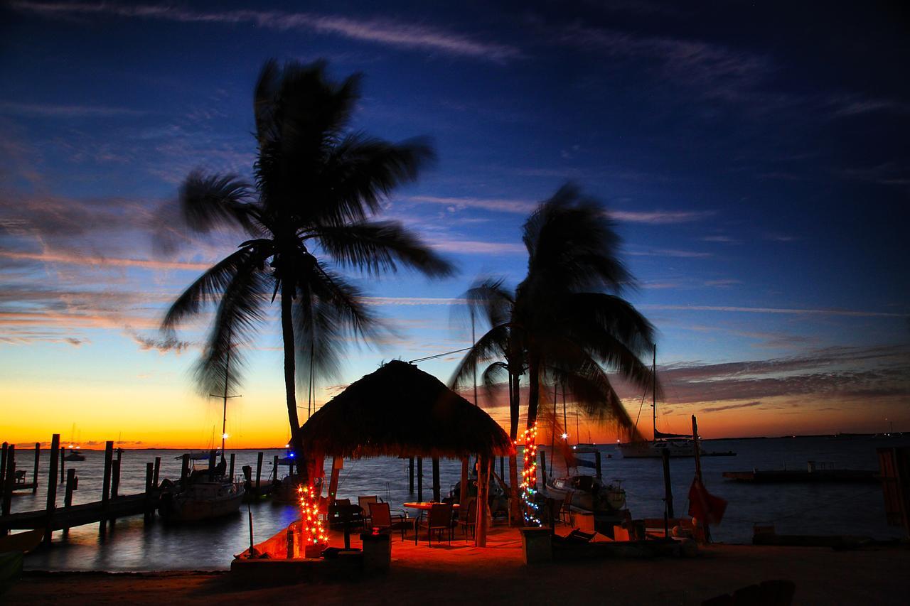 Key Largo Cottages 케이 라르고 외부 사진